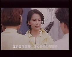 中华警花,中华警花的英勇传奇