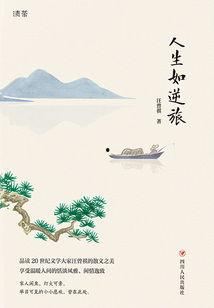 人生如逆旅,探寻生命旅程中的起伏与成长