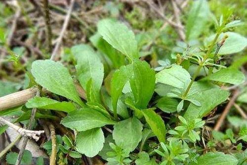 有个地方叫马兰,历史悠久的古镇风情